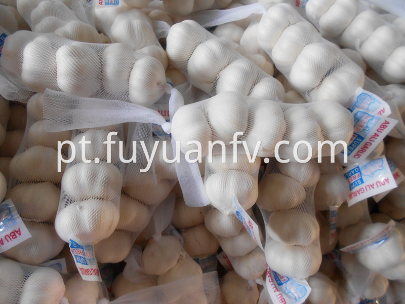 export to kuwait garlic